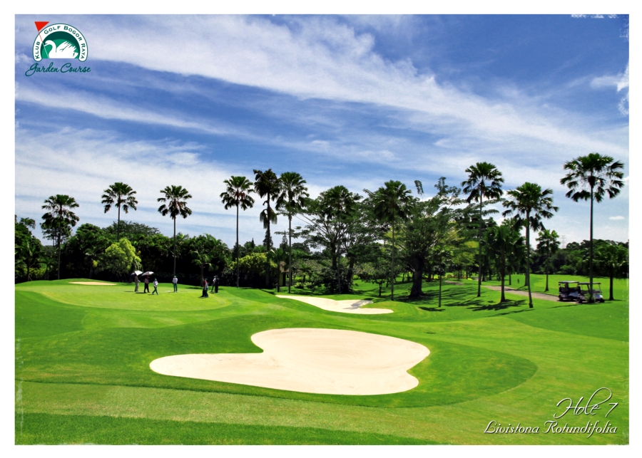 hole 7.jpg