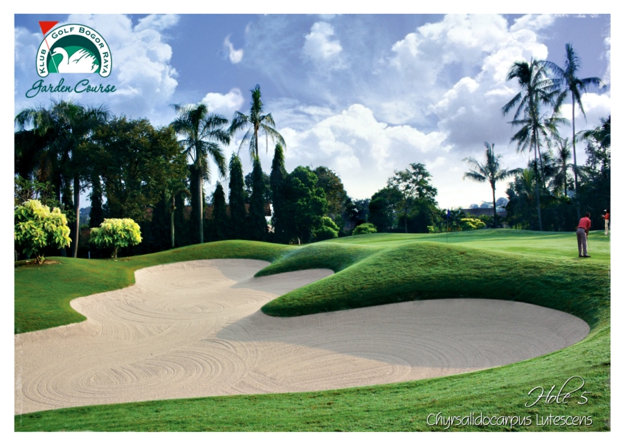 hole 5.jpg