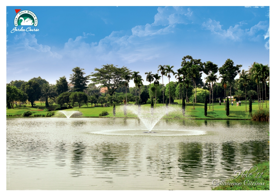 hole 11 2.jpg