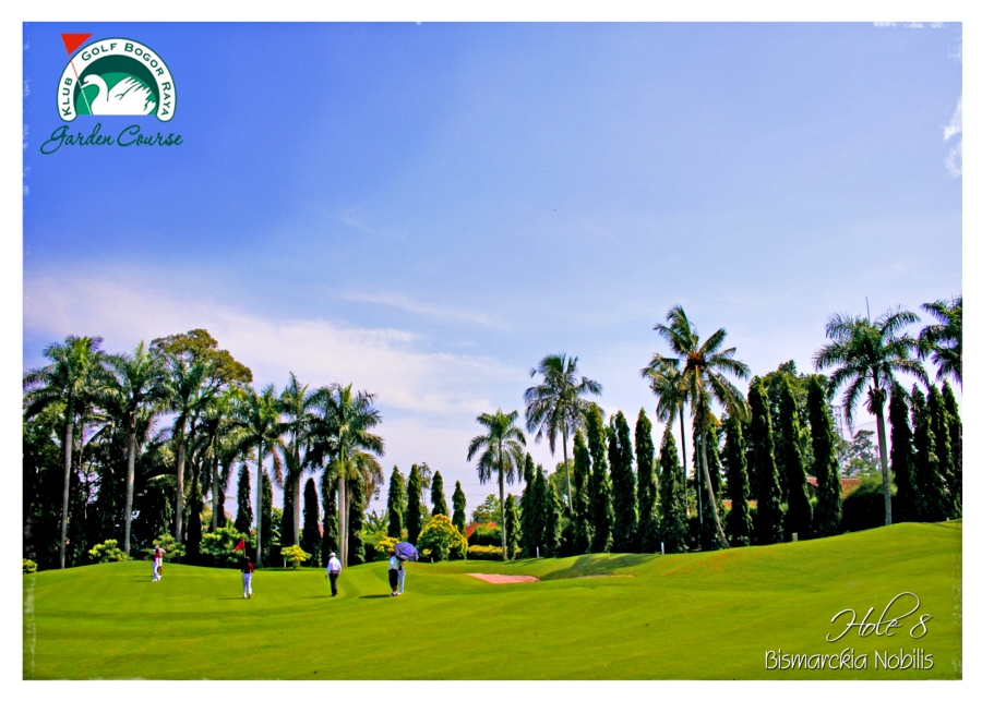 hole 8.jpg