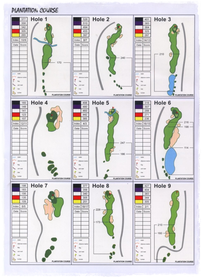 Hole by Hole Plantation.jpg